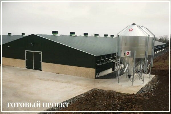 Этапы возведения птицефабрики от завода ВелесТент-кст